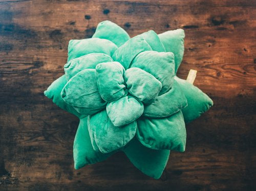 Plush Plant Pillows: The Perfect Holiday Gift for Plant Lovers