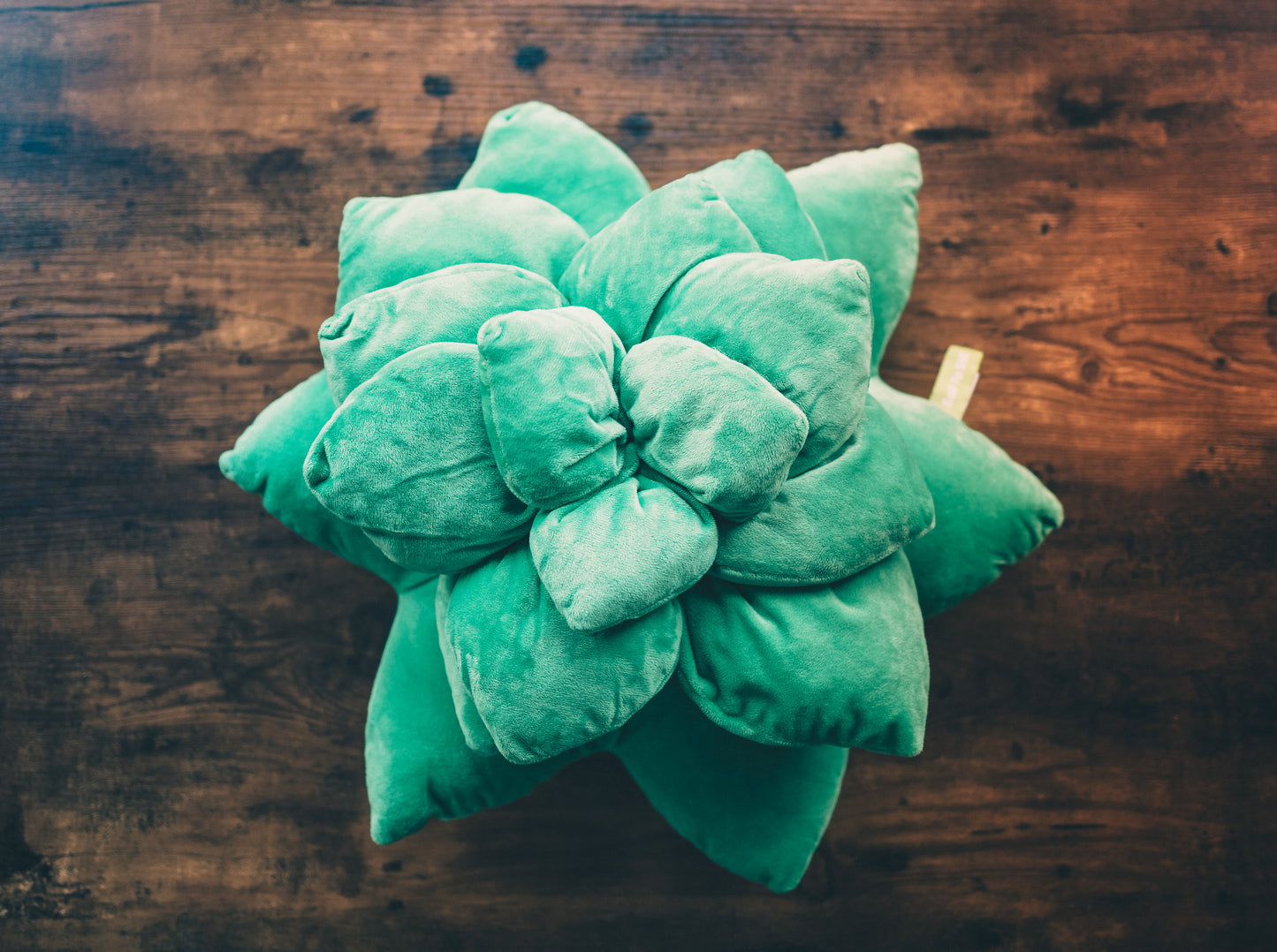 Green Echeveria Succulent Plush Pillow | Plant Cushion | Throw Pillow | 3D Pillow | Succulent Plant | Plant Lover Gift | Gardening Gift