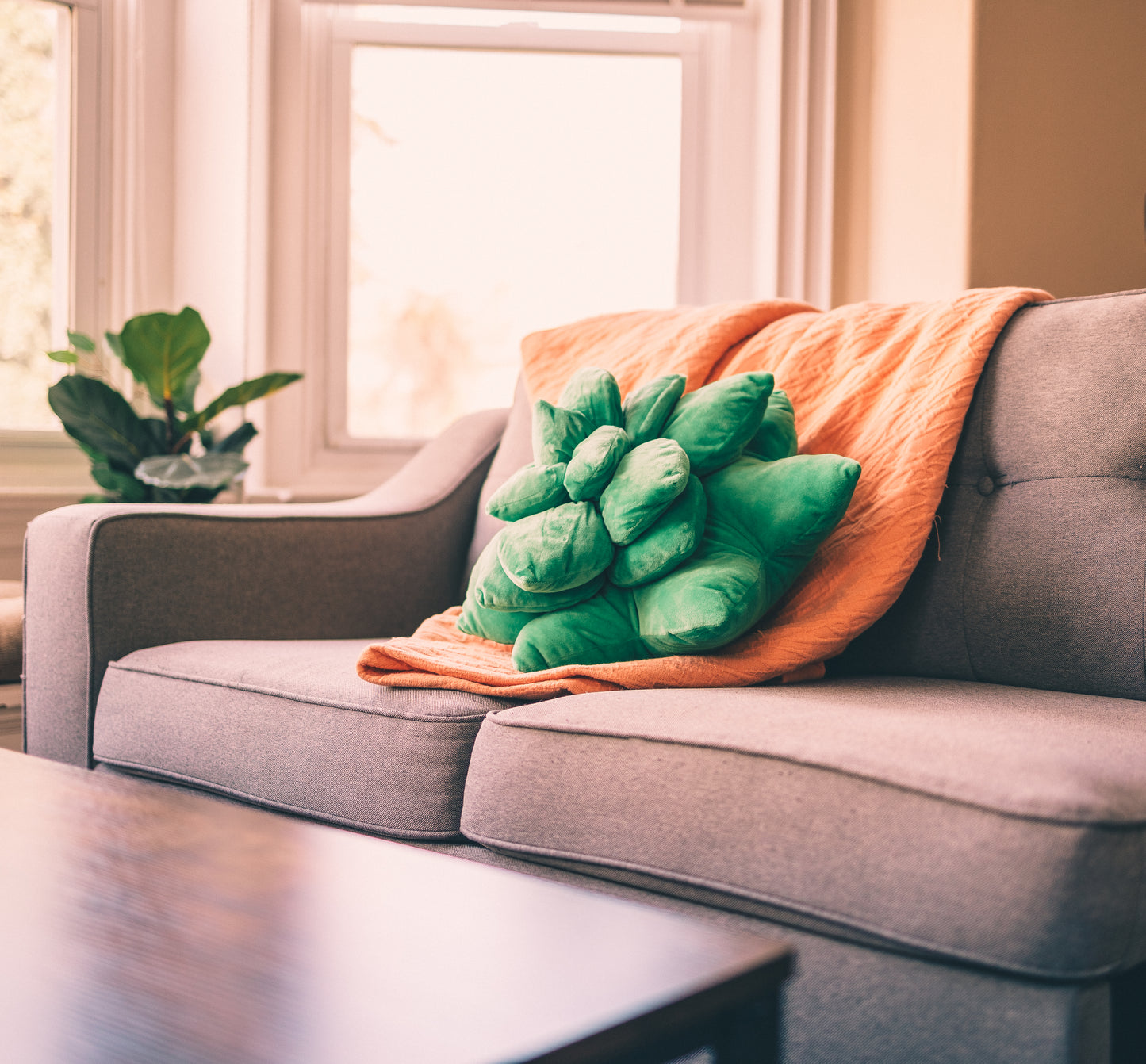 Green Echeveria Succulent Plush Pillow | Plant Cushion | Throw Pillow | 3D Pillow | Succulent Plant | Plant Lover Gift | Gardening Gift