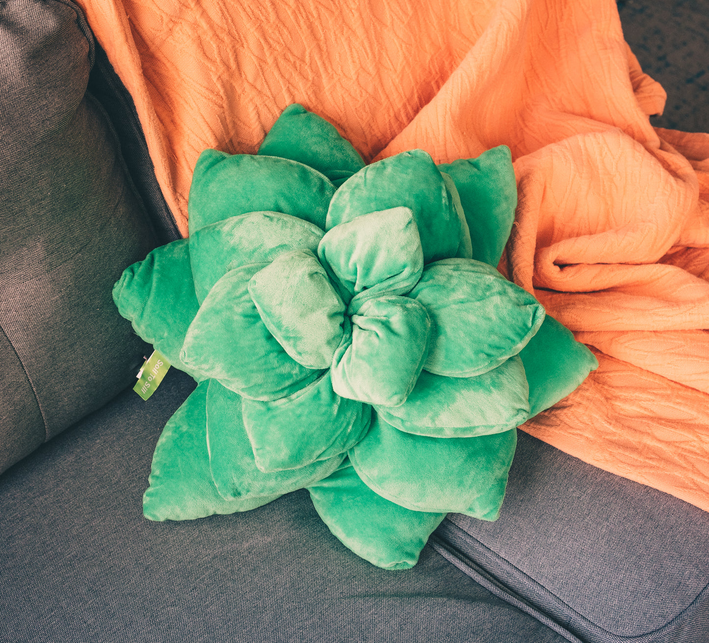 Green Echeveria Succulent Plush Pillow | Plant Cushion | Throw Pillow | 3D Pillow | Succulent Plant | Plant Lover Gift | Gardening Gift