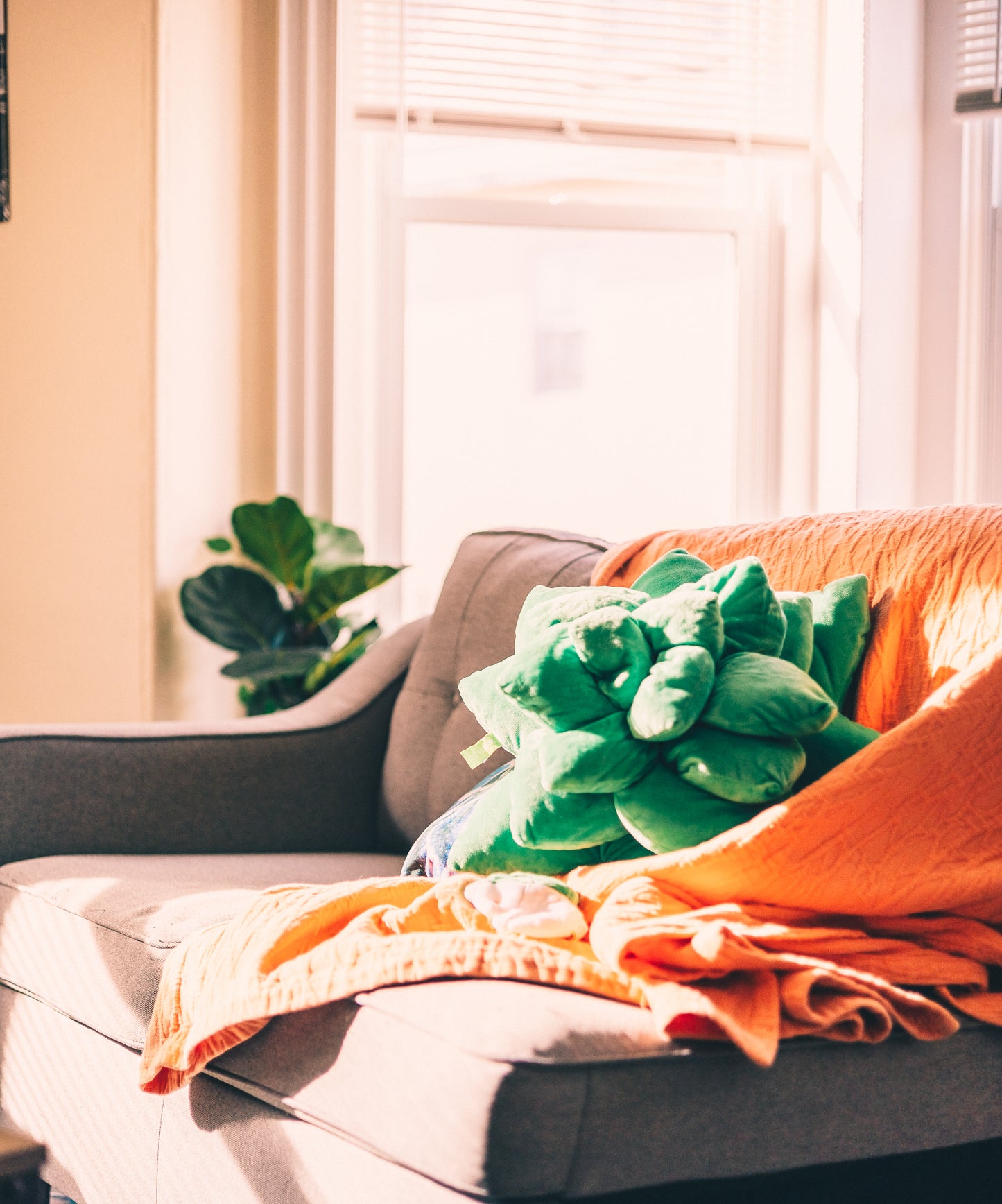 Green Echeveria Succulent Plush Pillow | Plant Cushion | Throw Pillow | 3D Pillow | Succulent Plant | Plant Lover Gift | Gardening Gift