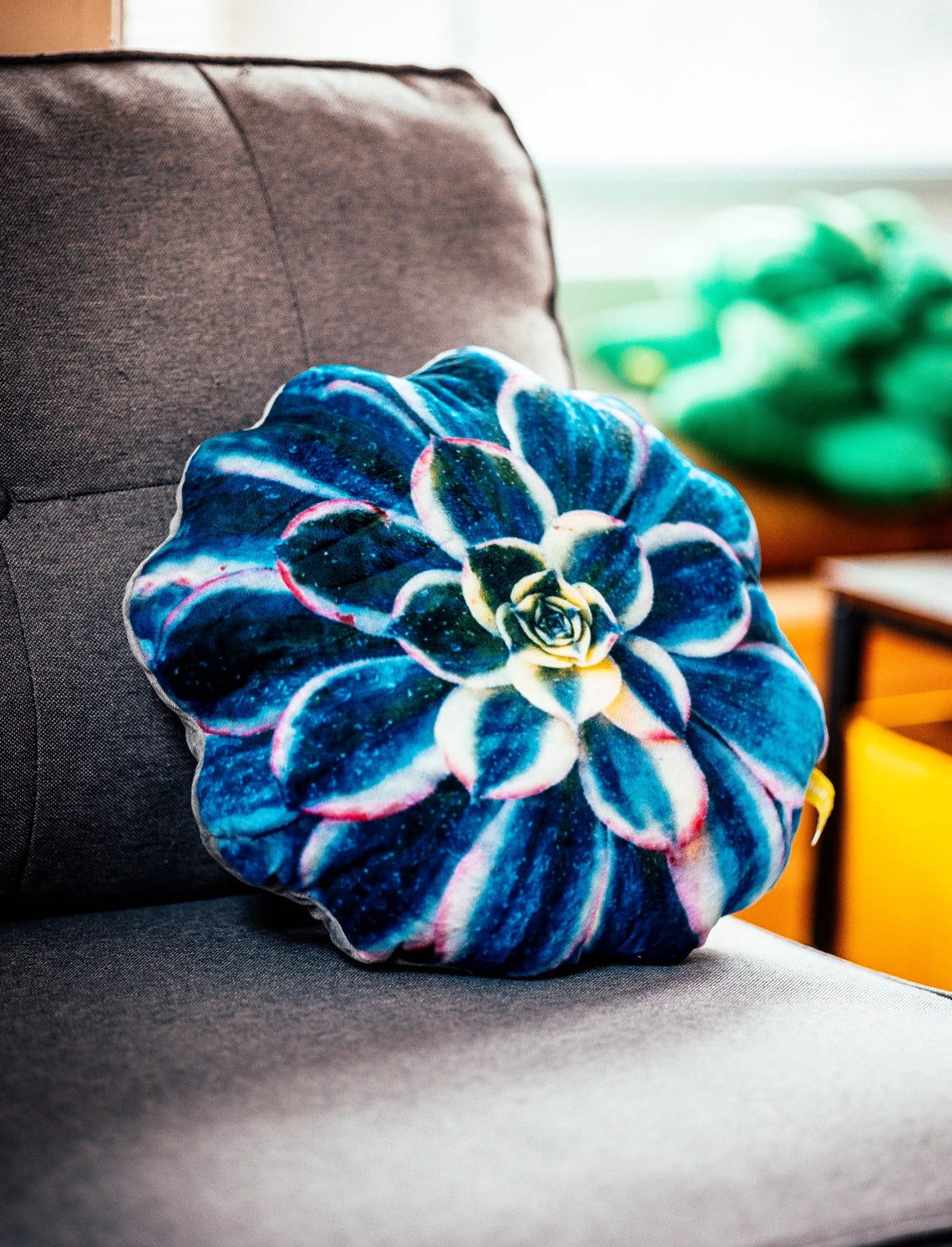Blue Succulent Pillow | Plant Cushion | Throw Pillow | Succulent Plant | Plant Lover Gift | Gardening Gift | Variegated