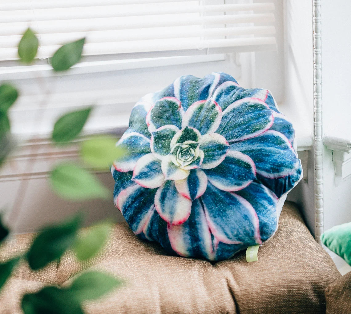 Blue Succulent Pillow | Plant Cushion | Throw Pillow | Succulent Plant | Plant Lover Gift | Gardening Gift | Variegated