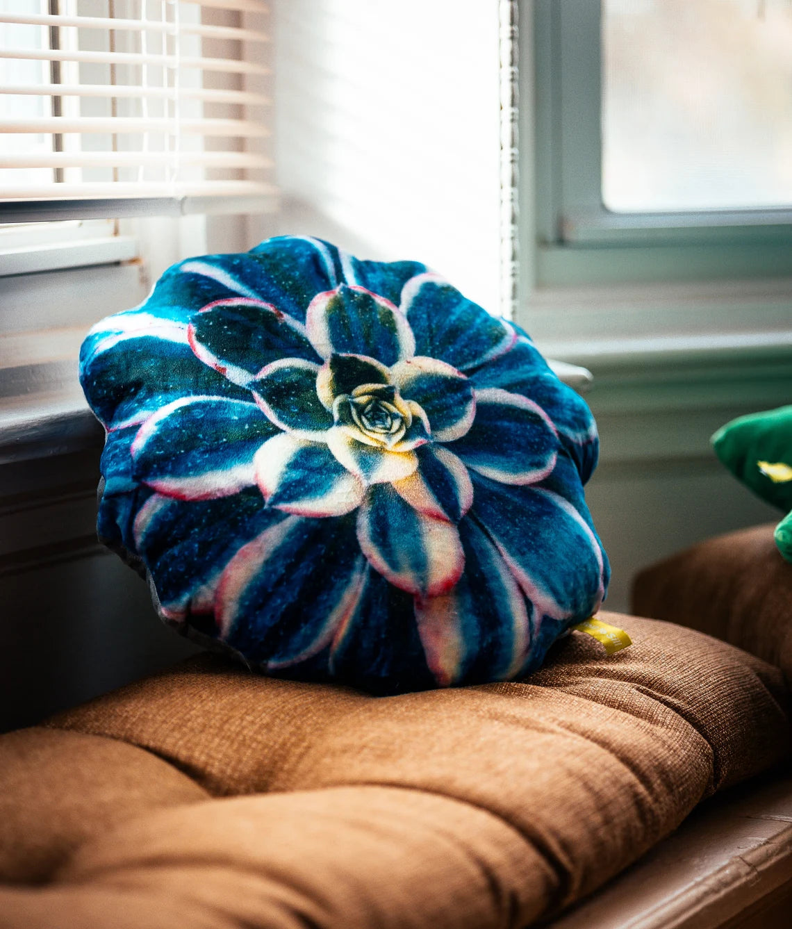 Blue Succulent Pillow | Plant Cushion | Throw Pillow | Succulent Plant | Plant Lover Gift | Gardening Gift | Variegated