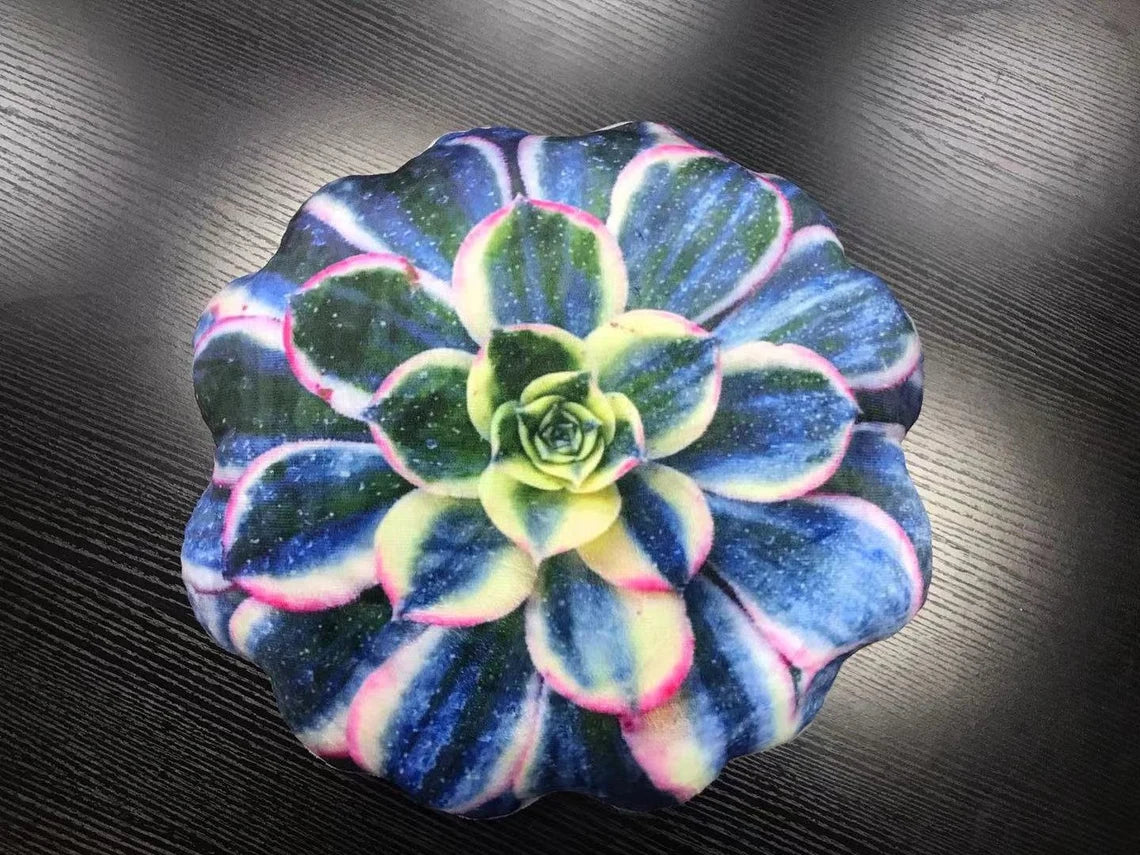 Blue Succulent Pillow | Plant Cushion | Throw Pillow | Succulent Plant | Plant Lover Gift | Gardening Gift | Variegated