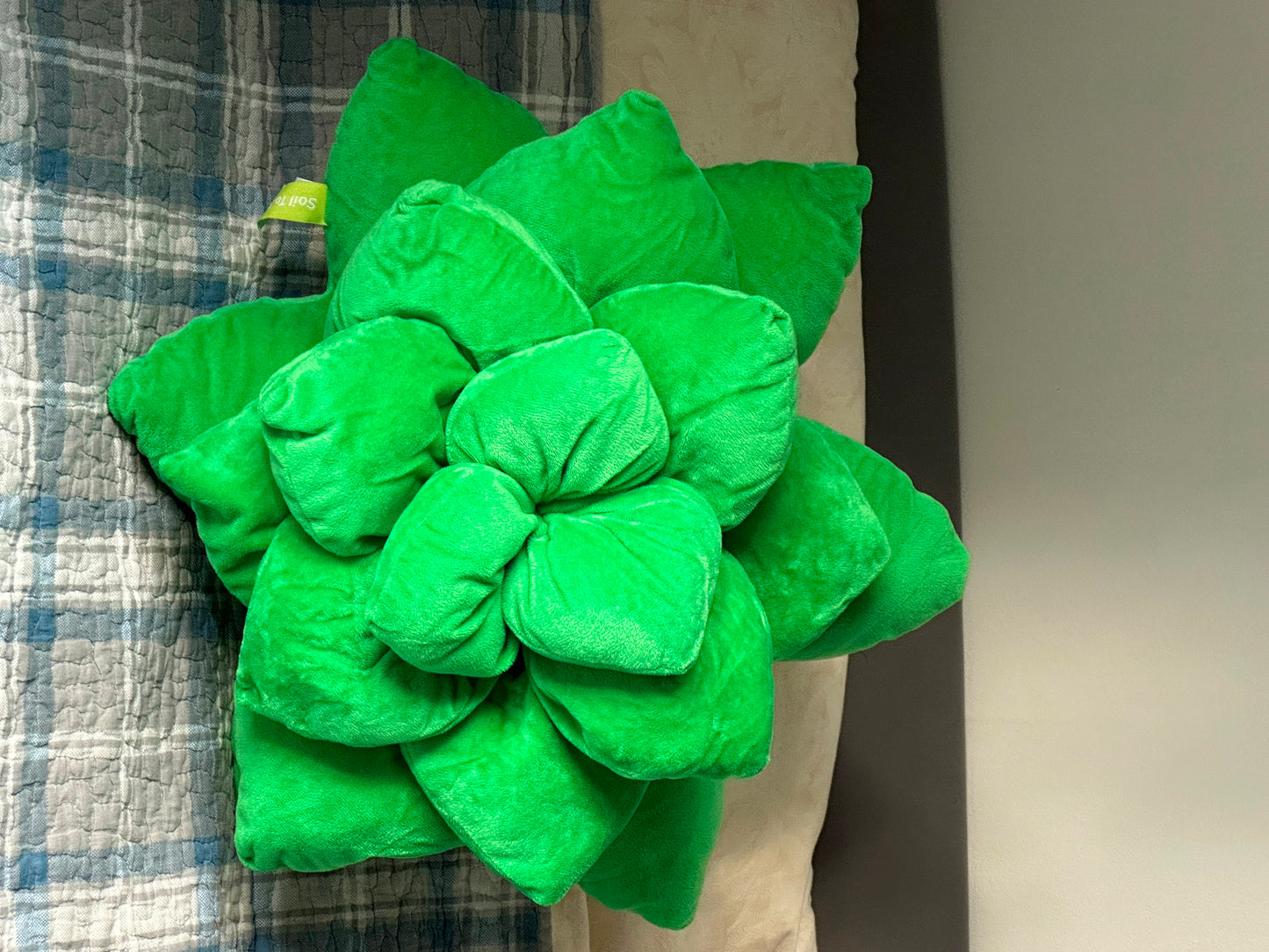 Green Echeveria Succulent Plush Pillow | Plant Cushion | Throw Pillow | 3D Pillow | Succulent Plant | Plant Lover Gift | Gardening Gift