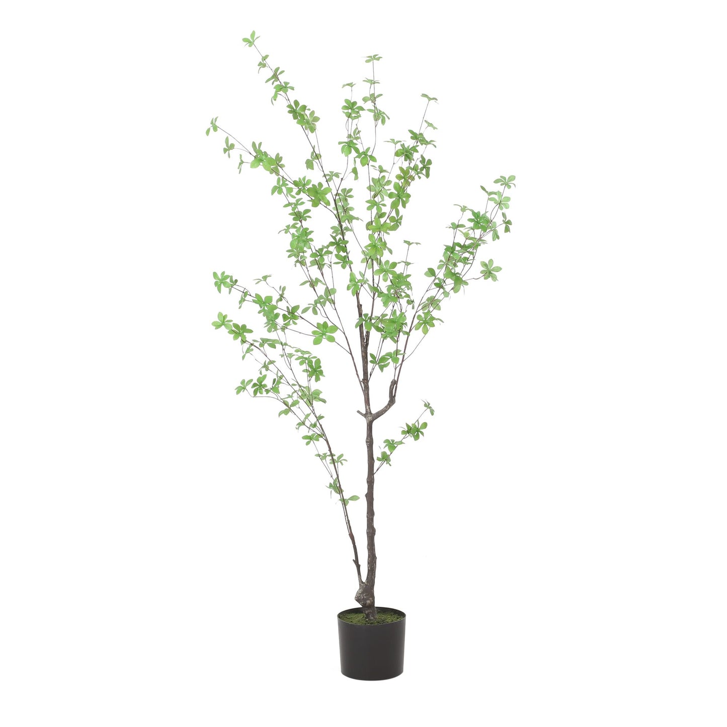 59 Inch Artificial Enkianthus Leaf Tree,Large Plants for Home Decor and Housewarming Gift