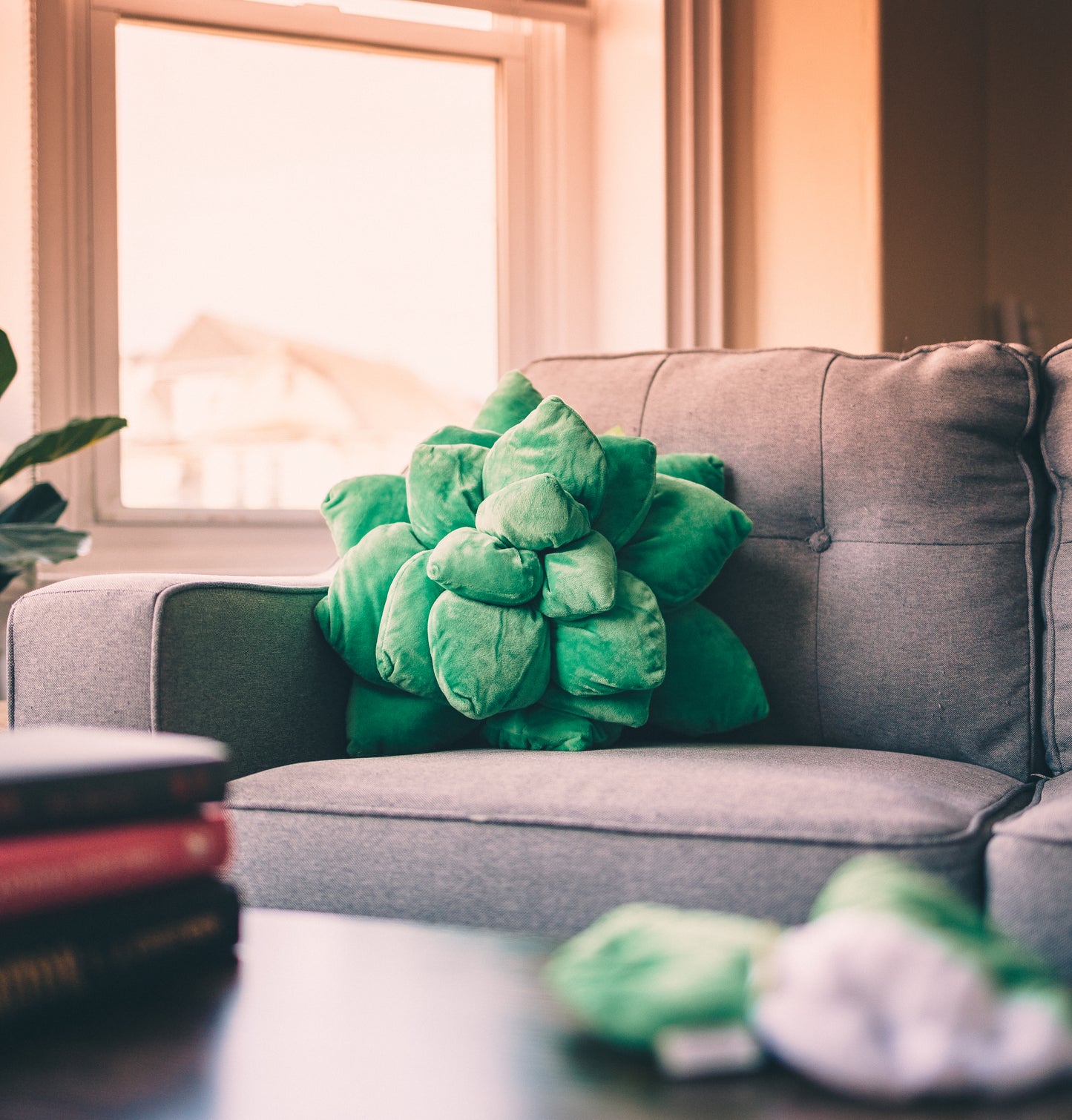 Green Echeveria Succulent Plush Pillow | Plant Cushion | Throw Pillow | 3D Pillow | Succulent Plant | Plant Lover Gift | Gardening Gift