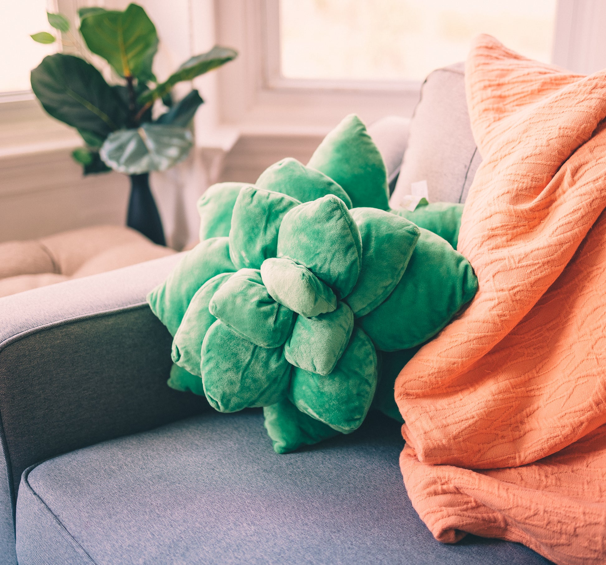 green philosophy co succulent pillow Giant Green Echeveria Succulent Plush Pillow – Soil to Sill
