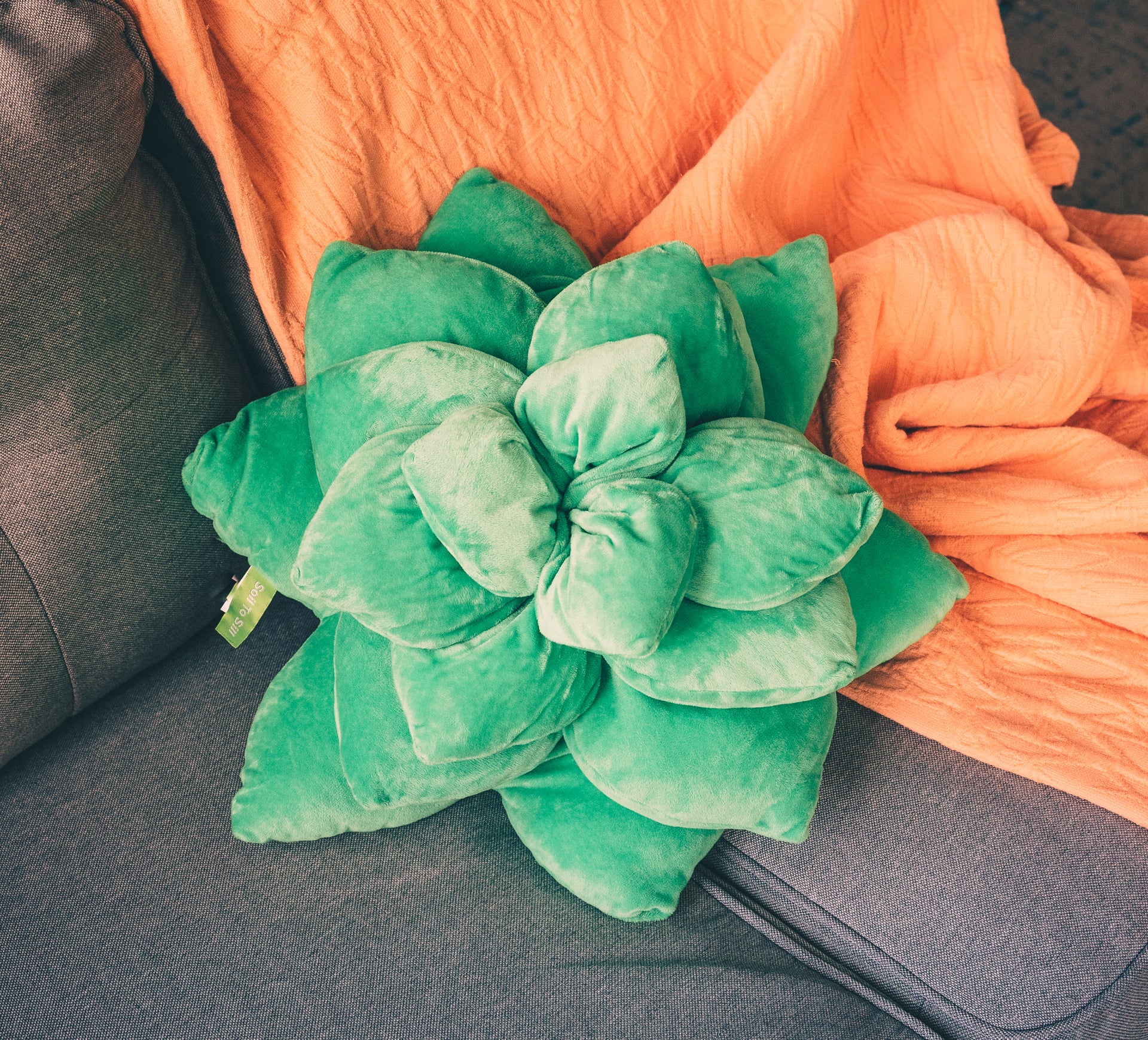 Succulent Plush Succulent Outdoor Pillow 3D Succulent Cactus Decor Throw  Pillows Cute And Stylish