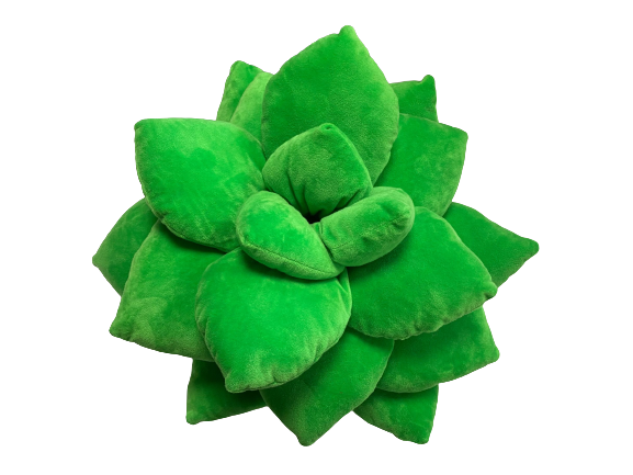 green philosophy succulent pillow Giant Green Echeveria Succulent Plush Pillow – Soil to Sill